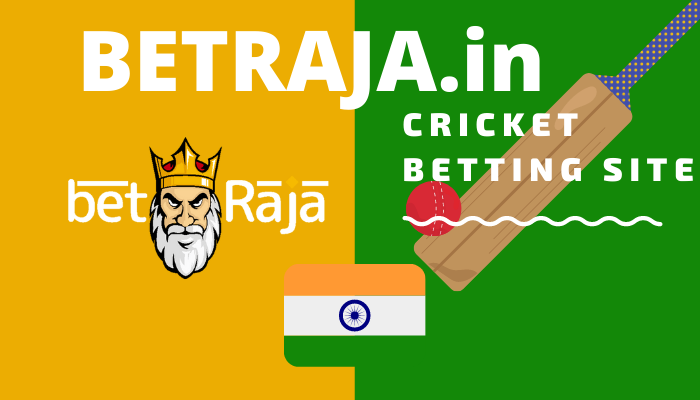 Best Online Cricket Betting Sites