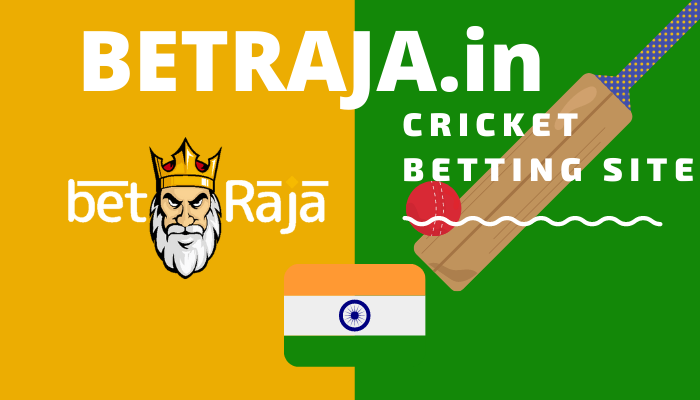 best online cricket betting site