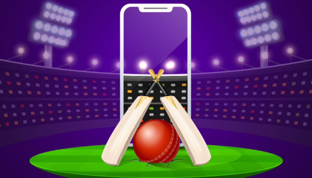 How can you play cricket betting without any risk?